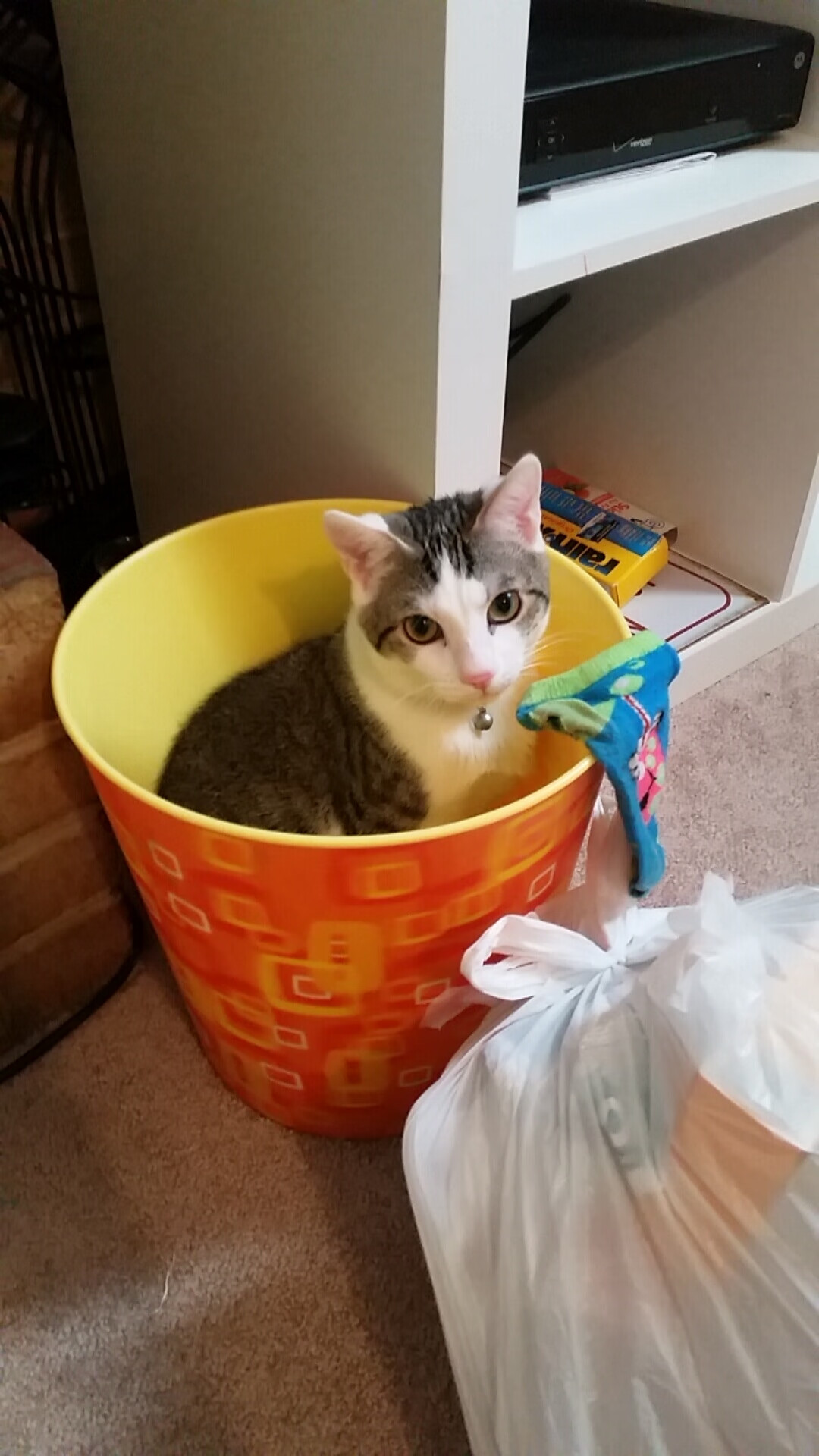 _火箭队持续进步,迎战强敌表现出色_,火箭队揭幕战