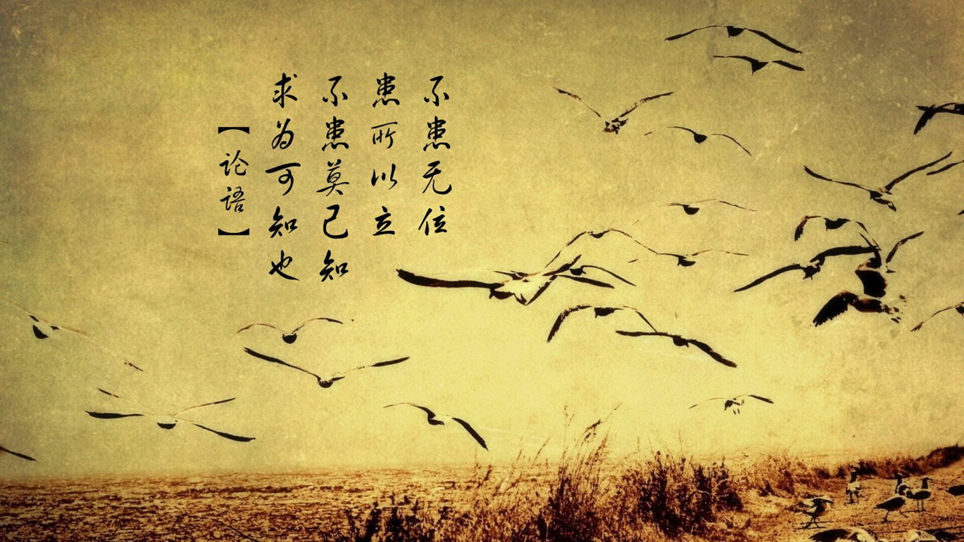 _特技自行车：极限表演彰显运动魅力_，自行车特技动作