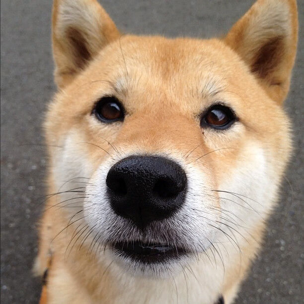 _跨洲赛事:欧洲对抗亚洲的精彩更上一层楼_,跨欧洲和非洲的国家