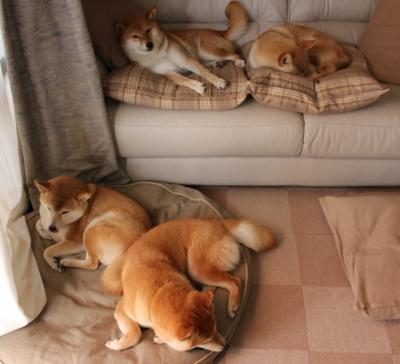 开云体育入口-【奥沙利文】高效训练法：保持巅峰状态的秘密法宝，奥沙利文发力技术完美讲解