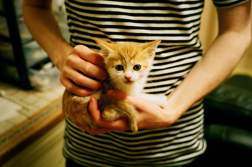 中国足球企业赞助扩大，商业合作不断深化，中国足球队赞助品牌