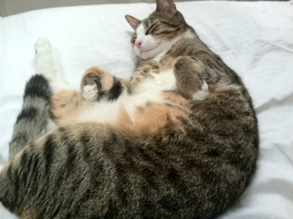 开云体育手机版-国乒男双组合调整，老将许昕告别国家队，乒乓球男双许昕