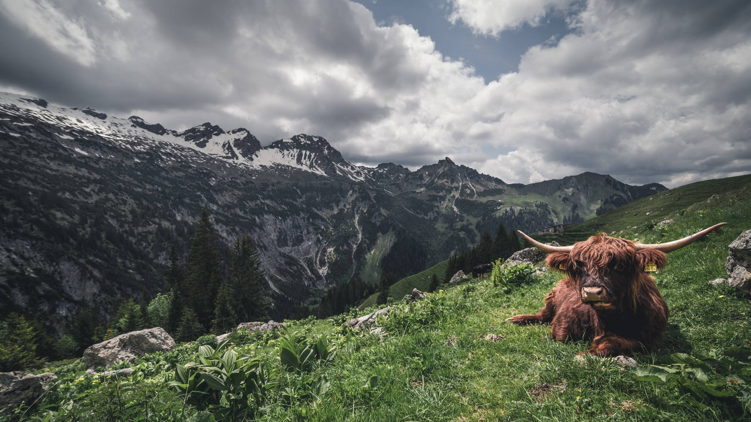 意甲引领欧洲战术潮流,注重控球与压迫,意甲用球2020