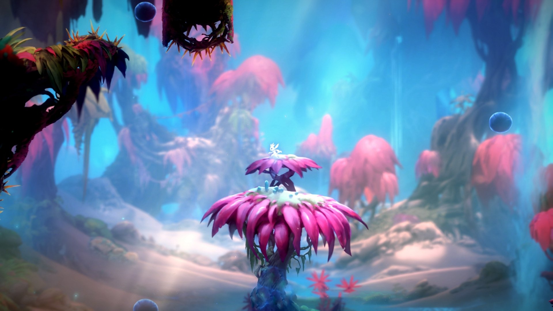 斯旺西逆转战术成功，锻炼球队韧性，斯旺西vs普雷斯顿视频直播