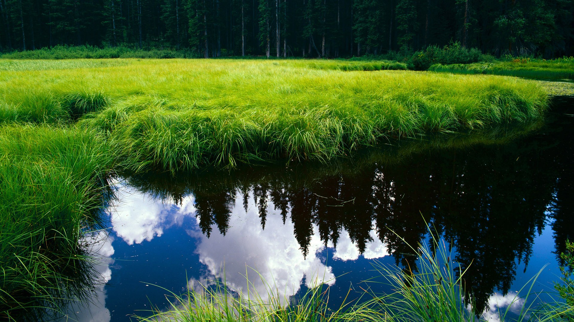 开云网页版-曾经的冠军之师：那些年辉煌的俱乐部回忆，冠军的球队是哪支球队