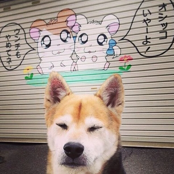 科比的“决胜瞬间”教会我们如何成为真正的冠军!,科比如何成功