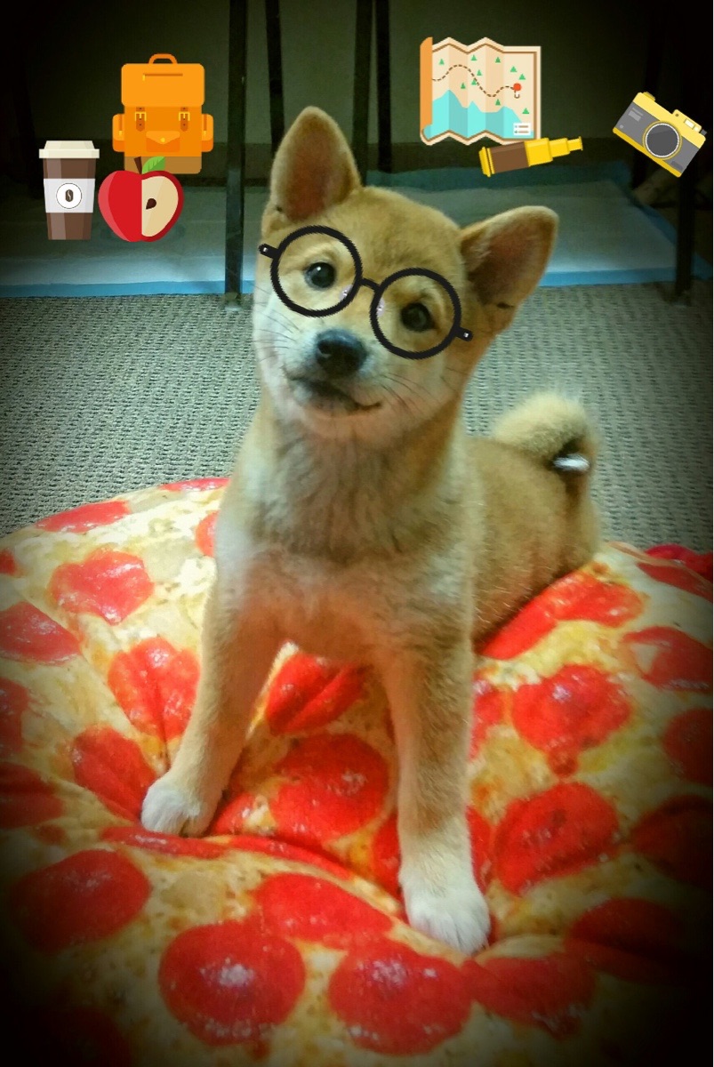 开云体育下载官网-西甲：皇马在客场2-0完胜巴萨，领跑悬念持续升高，皇马2-1战胜巴萨登顶