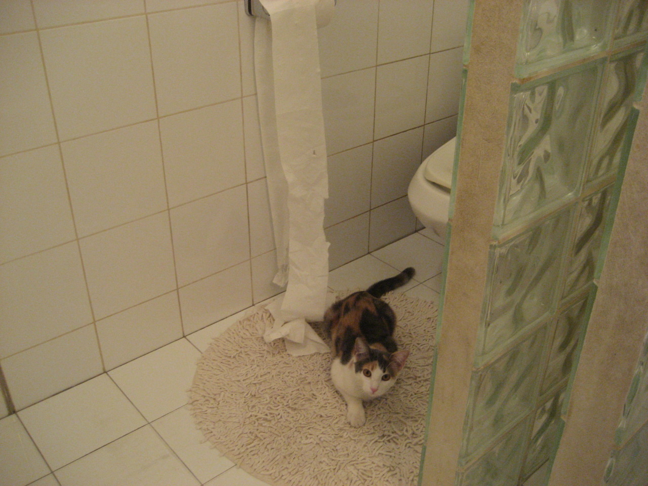 凯撒酋长与赞比亚俱乐部达成友谊赛协议，赞比亚联赛