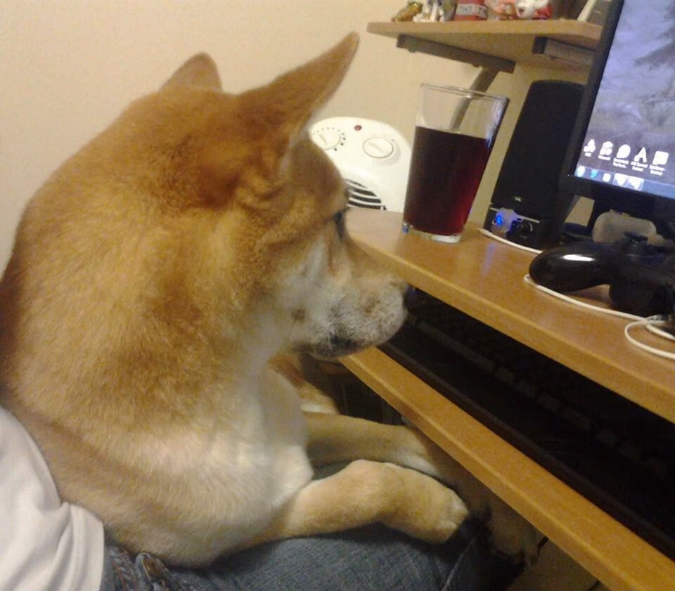 曼城主场迎战皇马，谁将战胜对手？，曼城与皇马历史交手记录