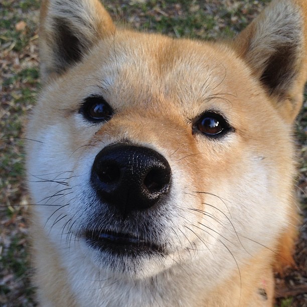 中国足球青少年训练方法探讨，中国青少年足球选拔机制