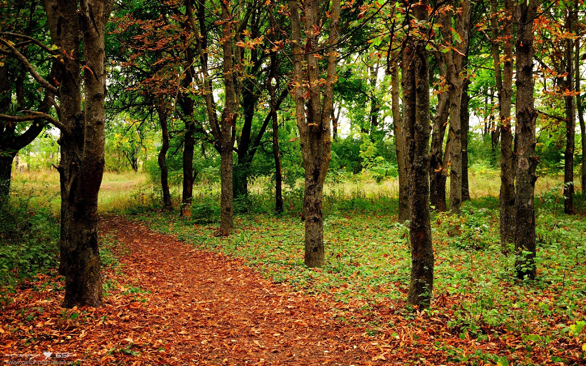 国足传控型打法对比分节奏的掌控能力，现代足球传控型打法
