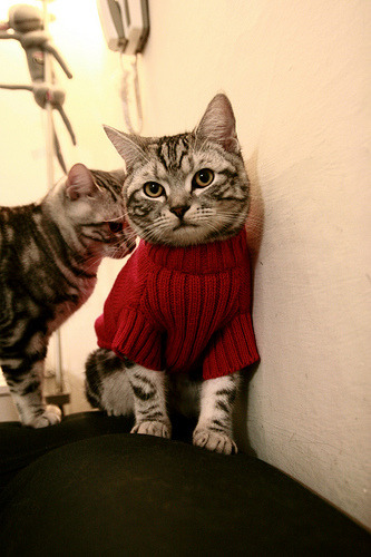 中国男篮战术多样化,中国男篮技术统计