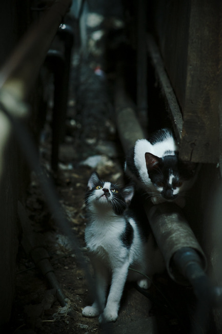 五大联赛球队全场防守质量提升与轮换策略关系,五大联赛球员变动