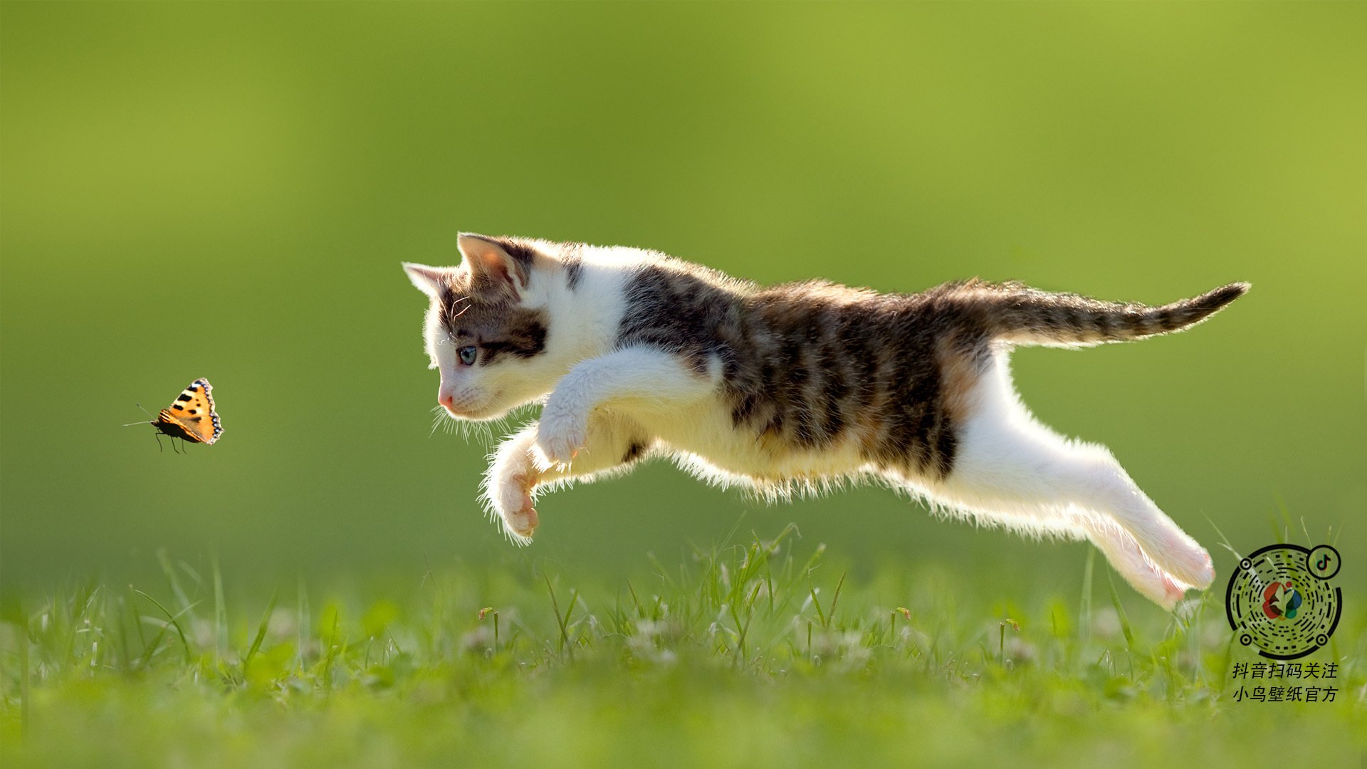 体育新闻中心上线体育赛事热点舆情实时监控系统,体育新闻资讯