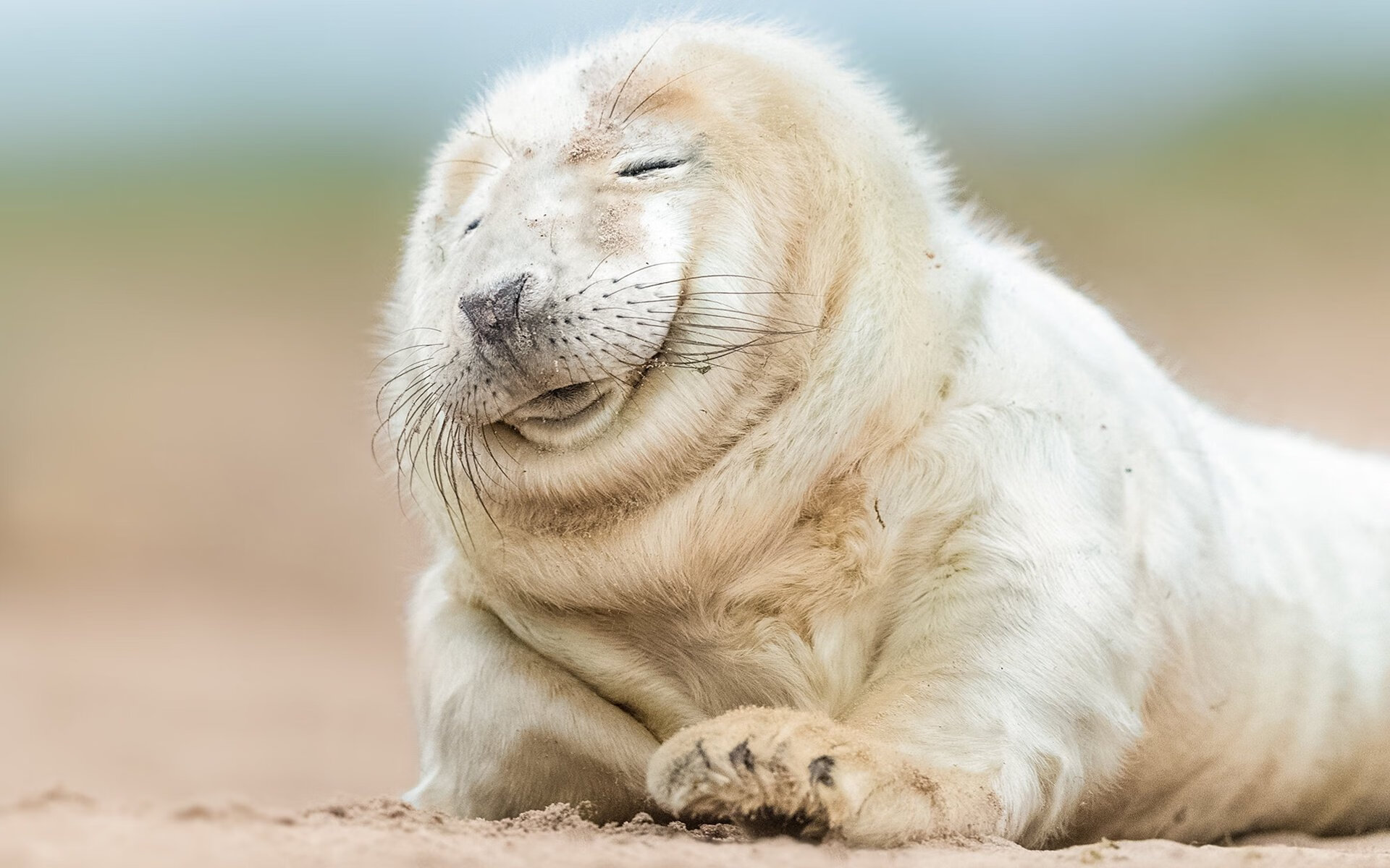 国家队内部分工明确训练节奏科学有序,国家队包含哪些机构